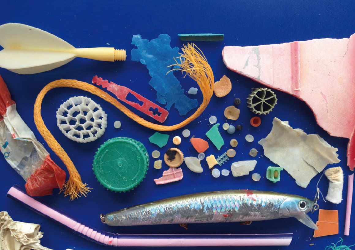 Microplastics in the ocean